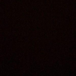 Meet your Posher, Jake